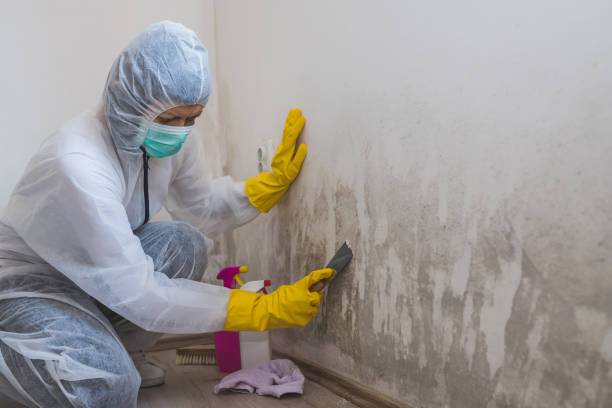 Best Mold Remediation for Specific Building Types in Bedford Hills, NY