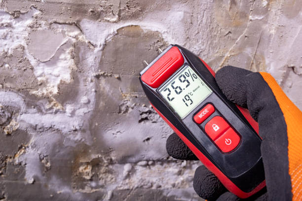 Best Post-Flood Mold Remediation in Bedford Hills, NY