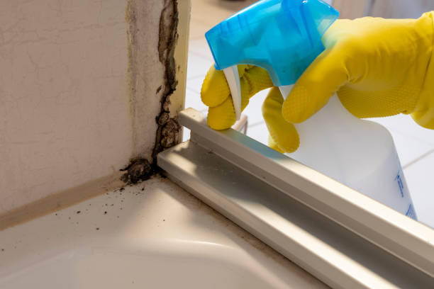 Bedford Hills, NY Mold Remediation Company