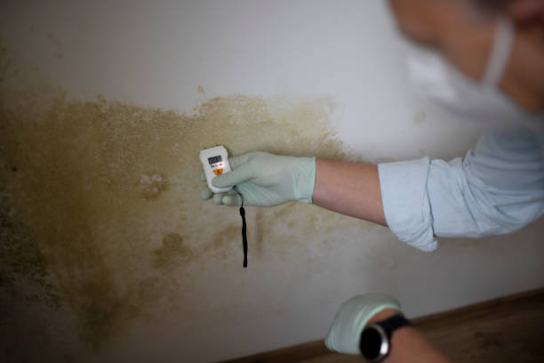 Best HVAC Mold Remediation in Bedford Hills, NY